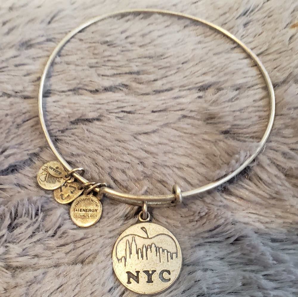 Alex and Ani Silver NYC Skyline Big Apple Adjustable Bangle Bracelet Deadstock